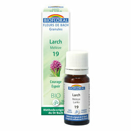 Larch / Mélèze Fleur de Bach en granules n°19 Biofloral