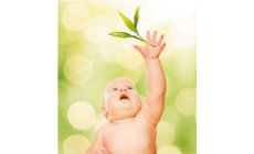 Le petit guide vert des Bébés Bio Le petit guide vert des Bébés Bio