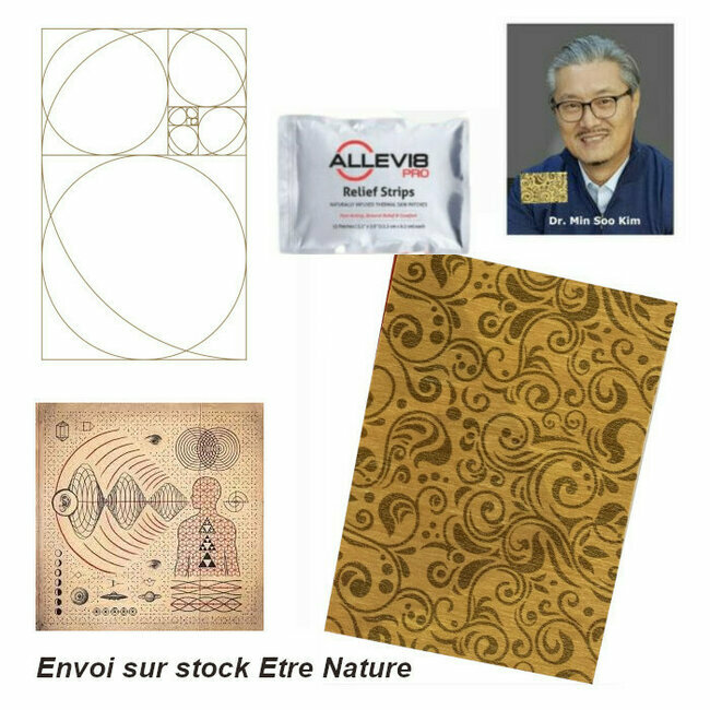 Patch énergétique quantique Allevi8pro Bepic du Dr Kim Min-soo - Stock Etre Nature