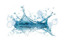 Molécules de signalisation Redox sciences
