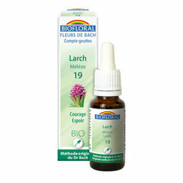 Larch / Mélèze Elixir floral n°19 Biofloral