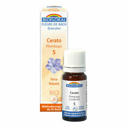 Cerato / Plumbago Fleur de Bach en granules n°5 Biofloral