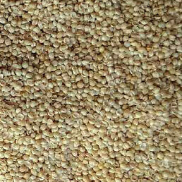 Millet brun ou doré - balles bio décortiquées dépoussiérées Recharge de 500 gr