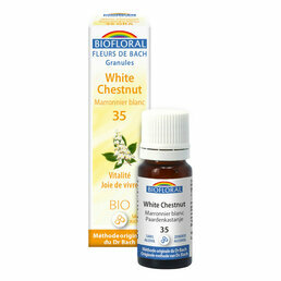  White chestnut / Maronnier blanc N°35 en granules Biofloral