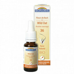 Avoine sauvage / Wild Oat Fleur de Bach n°36 Biofloral