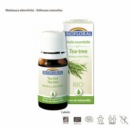 HE Tea tree ou Arbre à thé bio 10ml