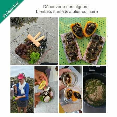 Atelier Découverte des algues : Bienfaits & Utilisation en cuisine - Vendredi 10 et Samedi 11 Octobre 2025