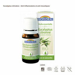 HE Eucalyptus citronné bio 10ml