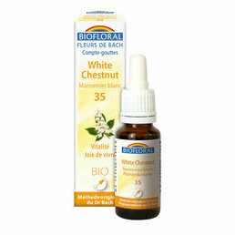 White chestnut / Maronnier blanc Elixir floral n°35 Biofloral